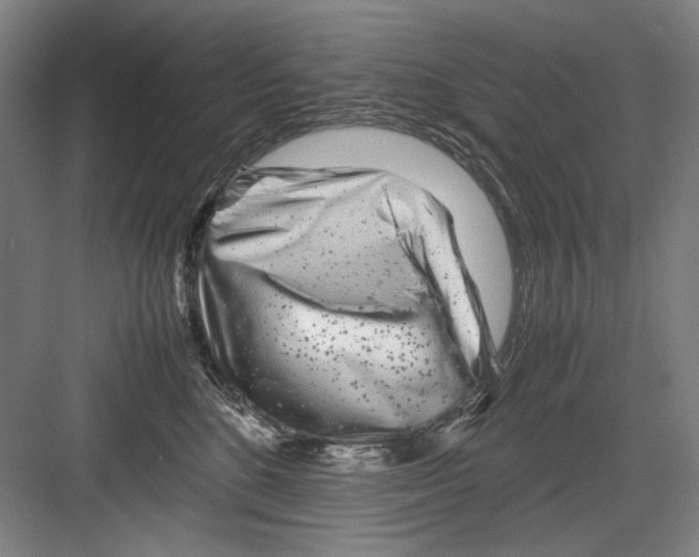 X0000082170520200702162304