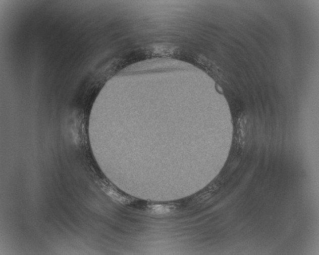 X0000082170522200702162304