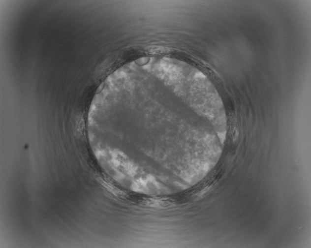 X0000082170523200702162304