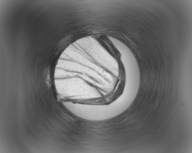 X0000082170524200702162304