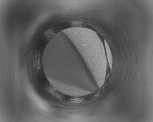 X0000082170525200702162304