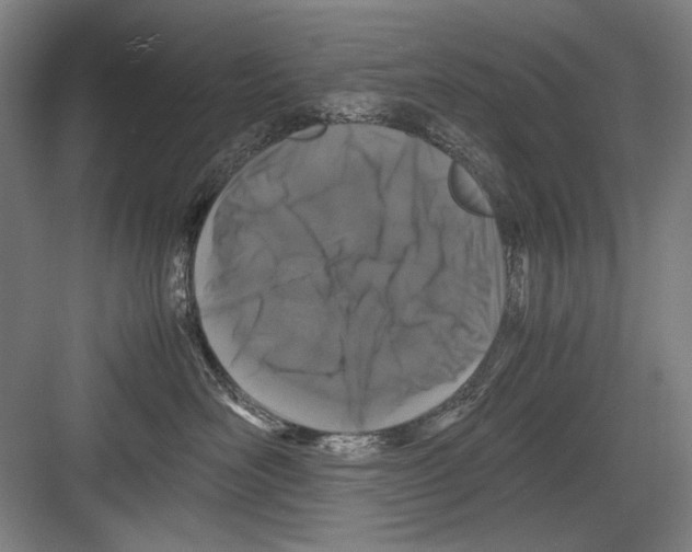 X0000082170526200702162304