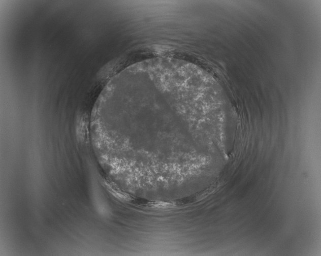 X0000082170527200702162304