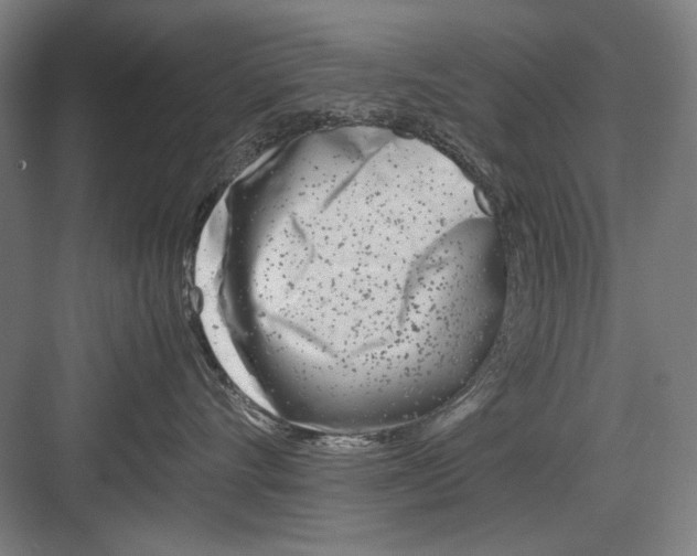 X0000082170528200702162304