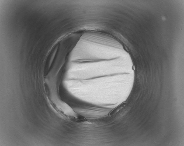 X0000082170530200702162303