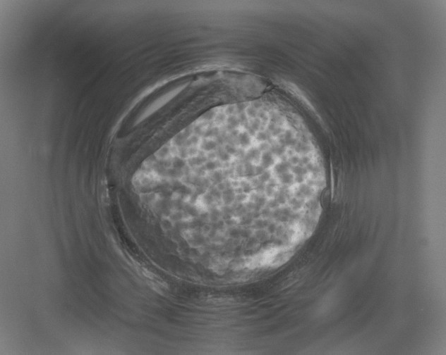 X0000082170531200702162303