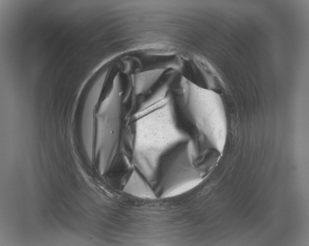 X0000082170532200702162303