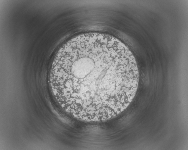 X0000082170534200702162303