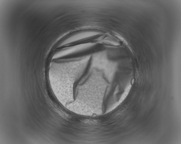 X0000082170535200702162303