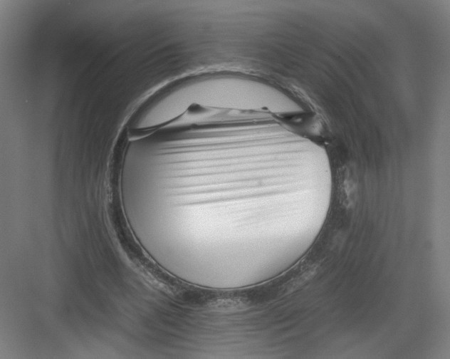 X0000082170536200702162303