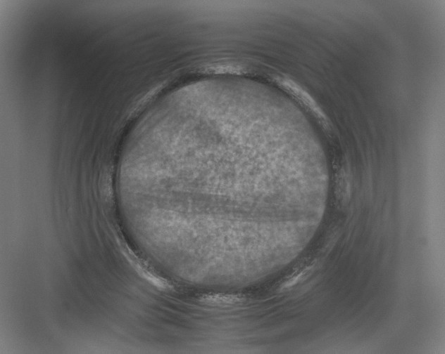 X0000082170537200702162303