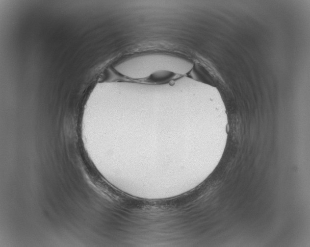 X0000082170538200702162303