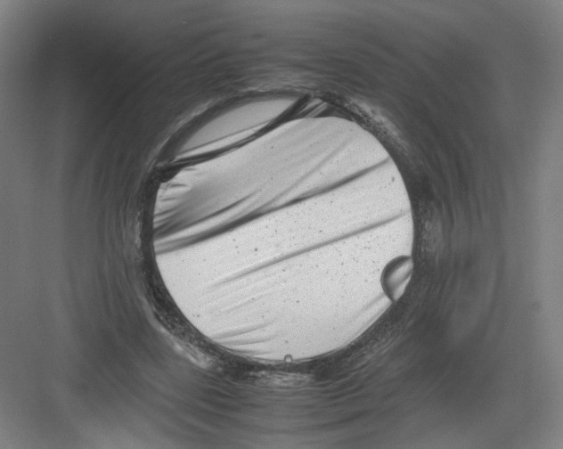 X0000082170539200702162303