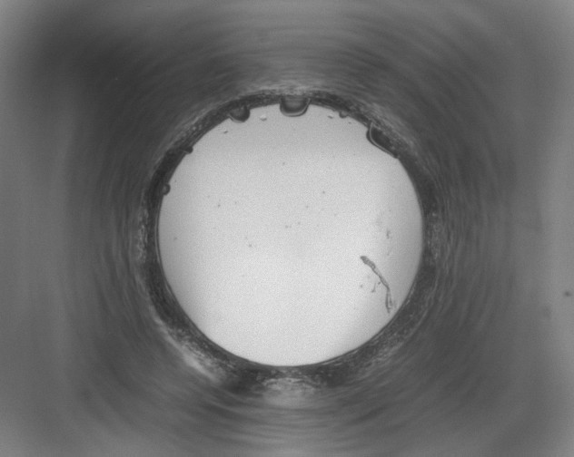 X0000082170544200702162303