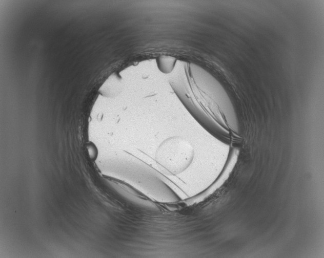 X0000082170546200702162303