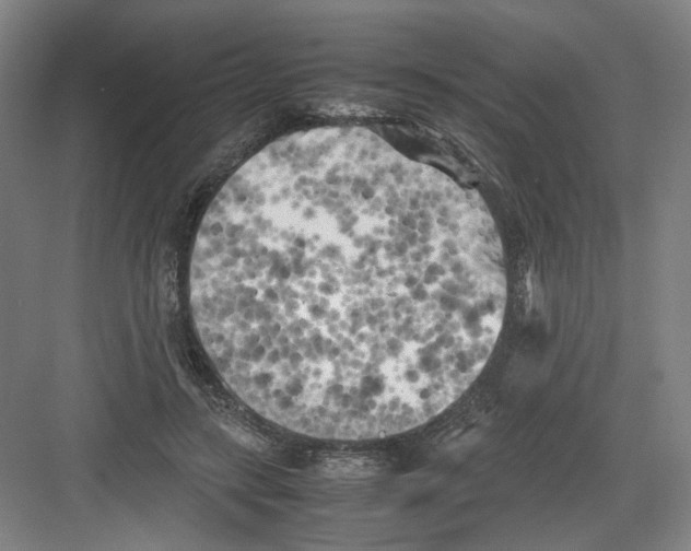 X0000082170547200702162303