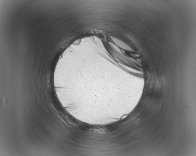 X0000082170548200702162303