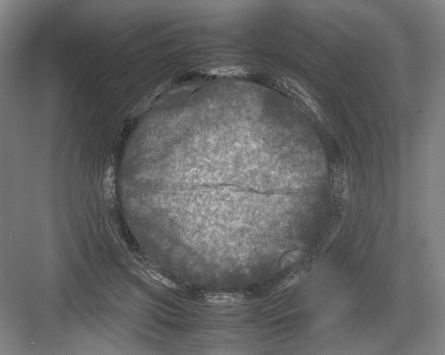 X0000082170549200702162303