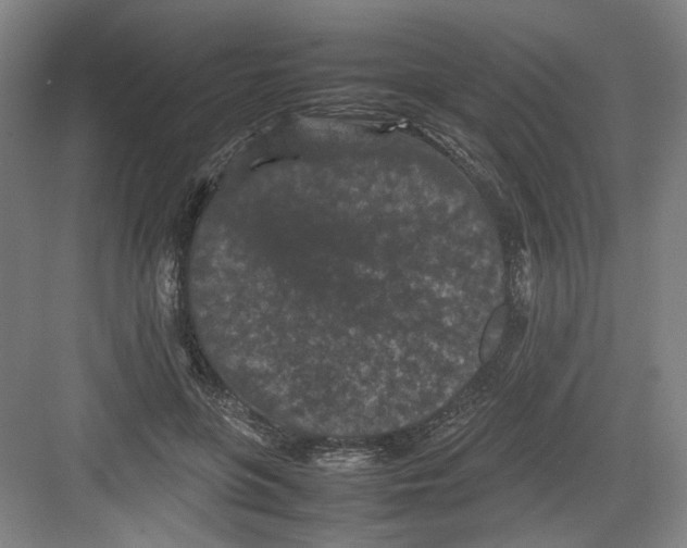 X0000082170551200702162303