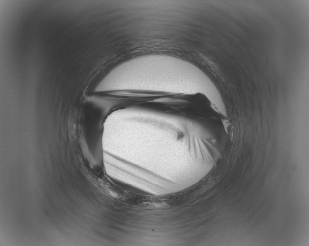 X0000082170552200702162303