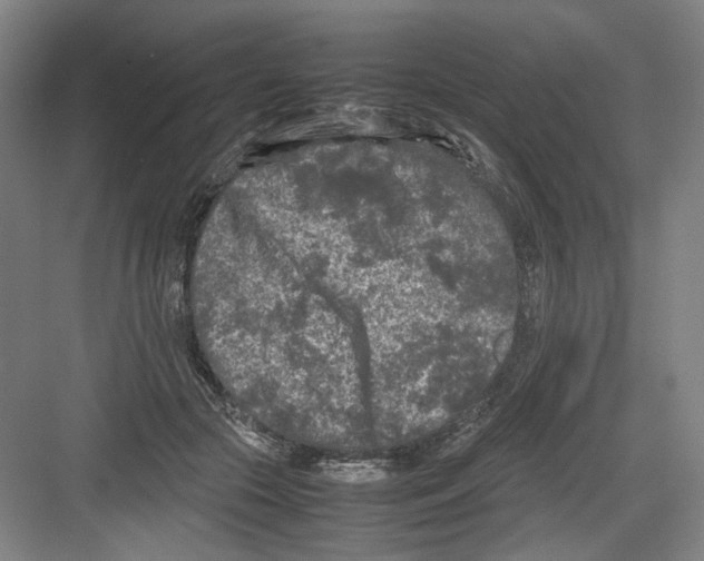 X0000082170553200702162303