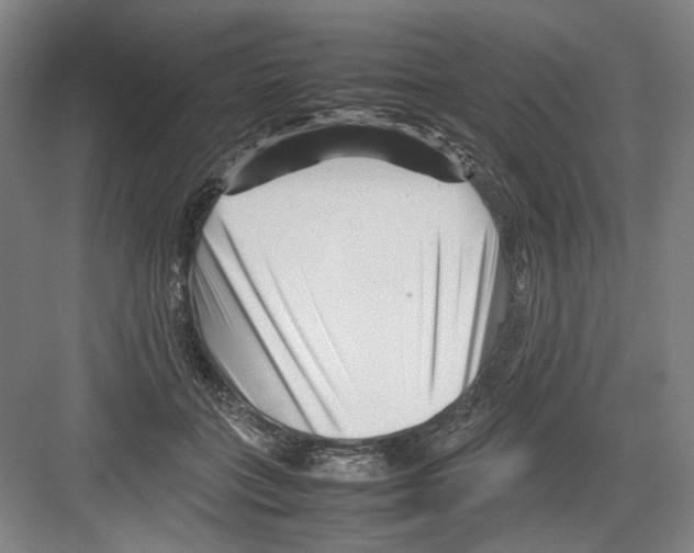 X0000082170555200702162304