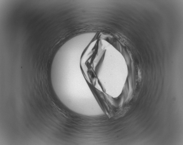 X0000082170556200702162304