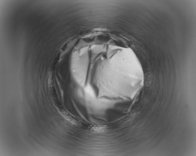 X0000082170560200702162304