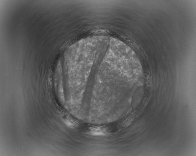 X0000082170561200702162304