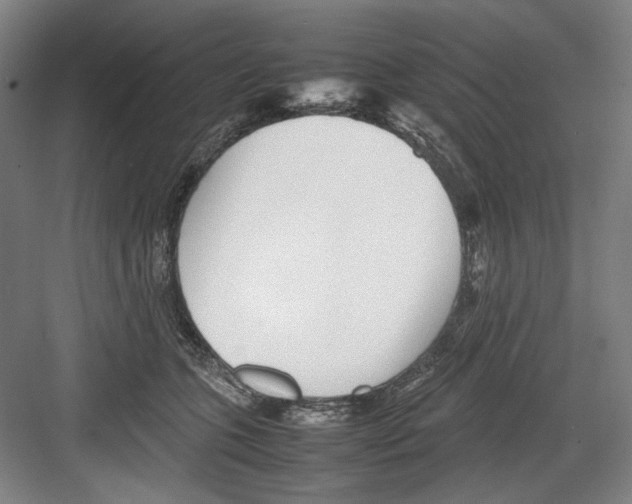 X0000082170563200702162304