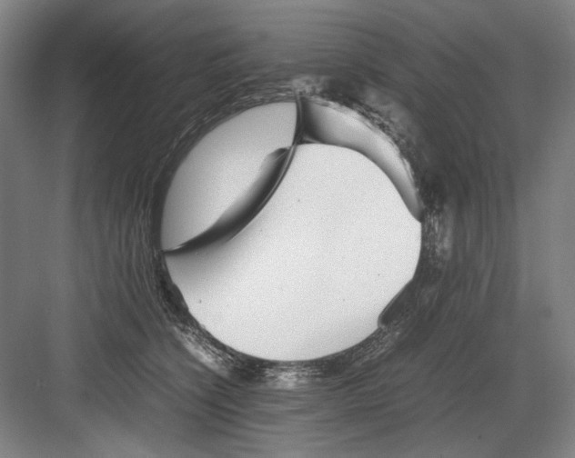 X0000082170564200702162304