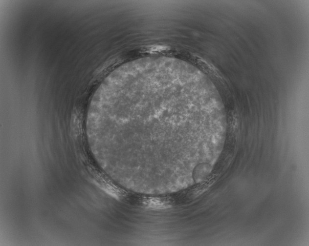 X0000082170565200702162304