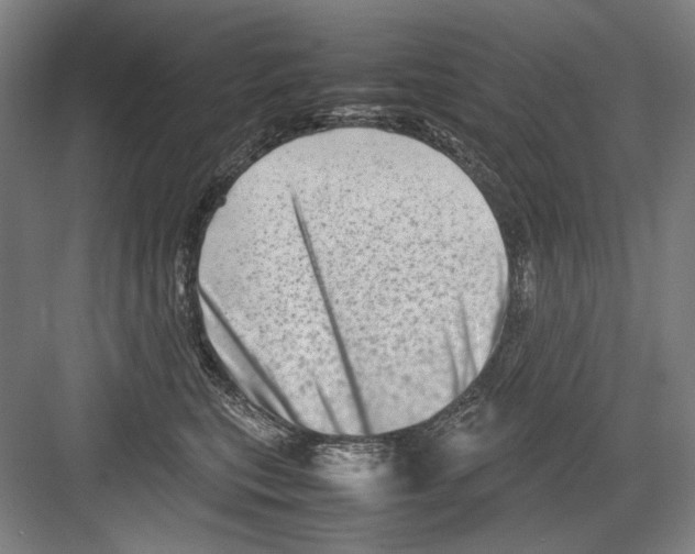 X0000082170567200702162304