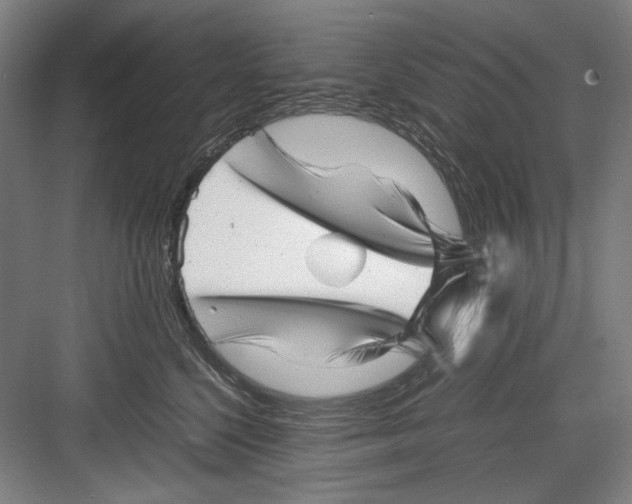 X0000082170568200702162304