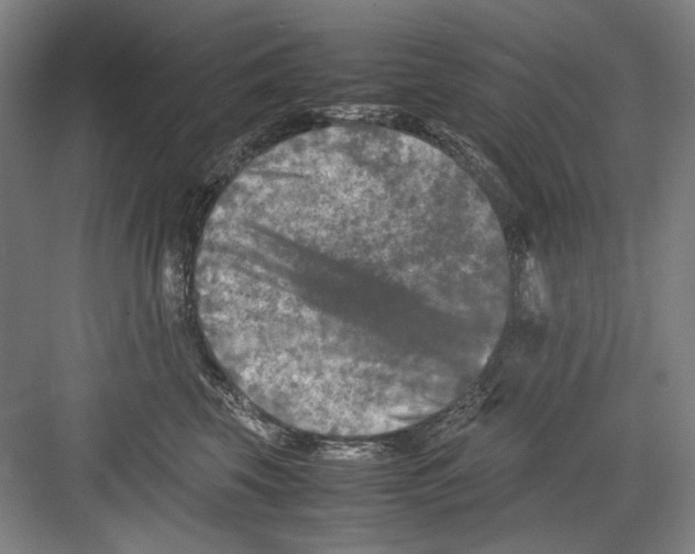 X0000082170569200702162304