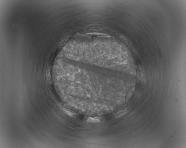 X0000082170573200702162304