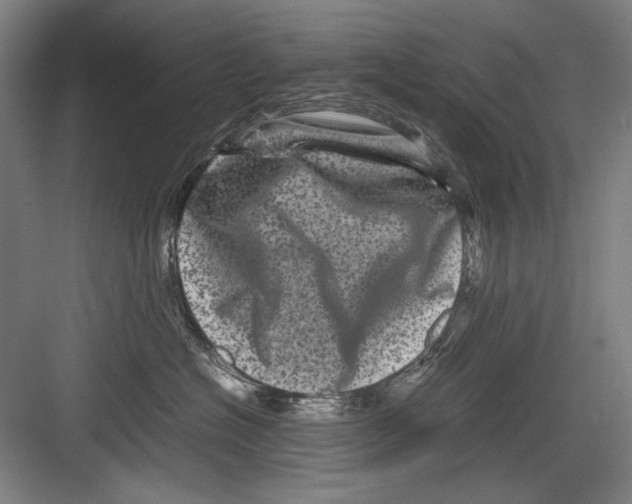 X0000082170574200702162304