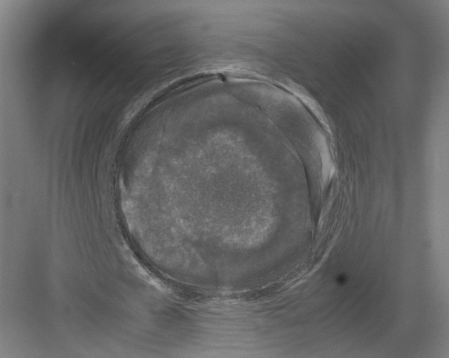 X0000082170577200702162303