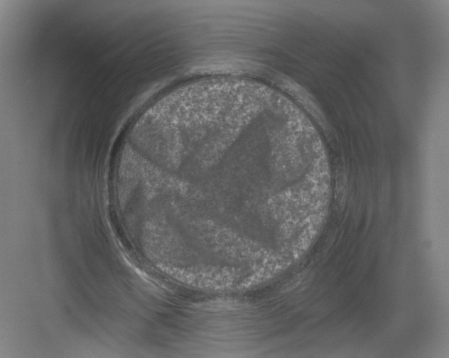 X0000082170578200702162303