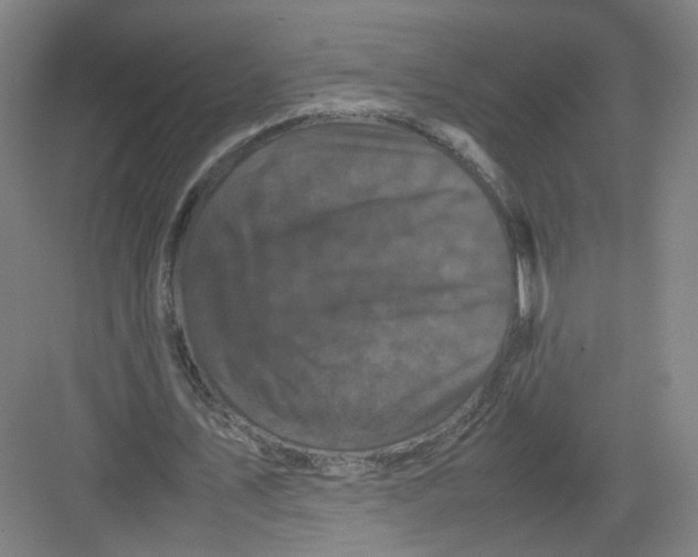 X0000082170579200702162303