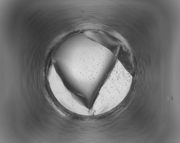 X0000082170581200702162303