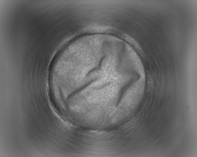 X0000082170582200702162303