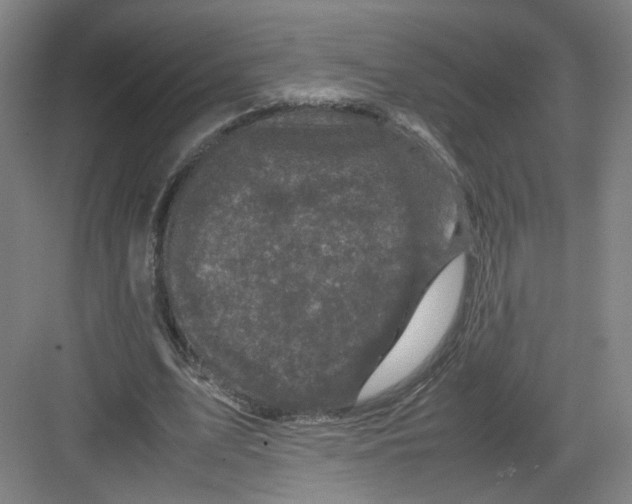 X0000082170583200702162303