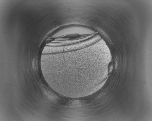 X0000082170588200702162303