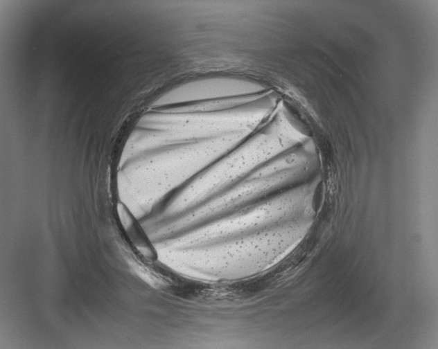 X0000082170589200702162303