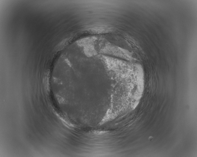 X0000082170590200702162303