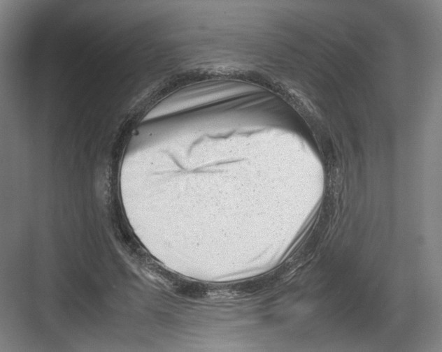 X0000082170591200702162303