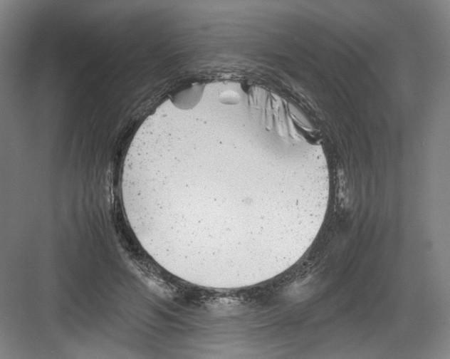 X0000082170594200702162303