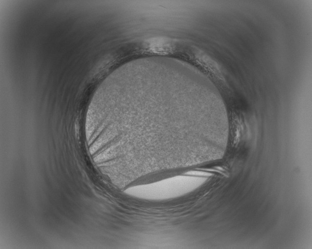 X0000082170595200702162303