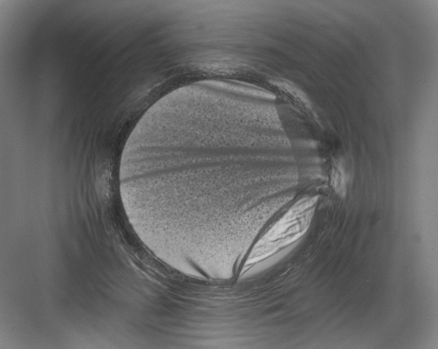 X0000082170596200702162303